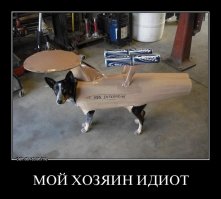 Девушка делает уморительные костюмы из картона для своей собаки