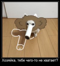 Девушка делает уморительные костюмы из картона для своей собаки