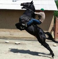 вчера выкладывал пост. одно фото. пост назывался МОЩЬ . но никто не просмотрел. аж два раза выкладывал. знаете что ? никто не посмотрел. а такая ох**тельная фотка. я сейчас выложу в свой комент. но суть в другом. в техническую потдержку обратился,неужелли сегодня не было посетителей Фишки ?  оказывается фото отдел не популярен в фишках. и обещанное фото. оно называется МОЩЬ.