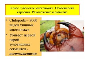 Ключевое слово "Убивает"