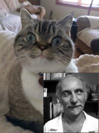 кот хозяина/хозяин кота