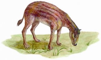 Недавно наткнулся на Эогиппус - предок лошади. Размером были от 25 до 50 см и имели когти. Читал в одной энциклопедии, что ученые предполагают что когти позволяли карабкаться по деревьям чтобы доставать листья.