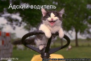 Секреты водительского общения или условные сигналы и жесты водителей