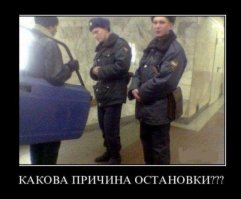 Свежая подборка автоприколов