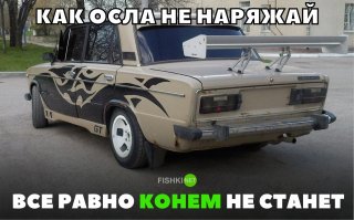 Напомнило анекдот:
Идет прапорщик по степи.
Навстречу ему осёл
Вдруг осел заговорил человеческим голосом:
"Ты кто?"
Прапорщик сначала удивился,потом вправо влево посмотрел и ответил:
"Я офицер. А ты кто?"
Осел тоже вправо влево посмотрел и говорит:
"А я  лошадь..."