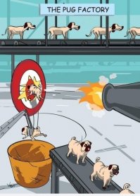 Ну на счет завода мопсов не уверен. У меня другая версия)