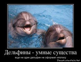 Я как дельфин