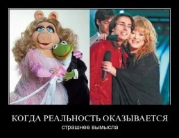 Редкие снимки редких людей