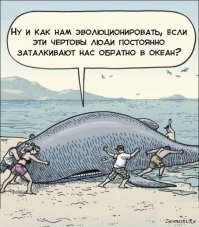 Люди молодцы! Иногда такое "самовыбрасывание" на берег дельфинов и китов напоминает эту картинку: