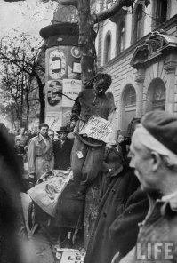 Обычно Фунни  Цаплан любит везде вставлять свои антисоветские, антикоммунистические комментарии, но здесь он удивительно немногословен. Наверное,  потому на фотографиях много трупов убитых «революционерами» советских солдат, венгерских милиционеров, венгерских сотрудников службы госбезопасности, активистов Венгерской Партии  Труда. 
Добавлю снимков. Люди в форме с поднятыми руками - венгерские милиционеры их сейчас расстреляют.