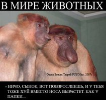 Одни из самых неприятных созданий на Земле