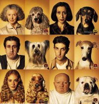 Парень и его собака настолько похожи, что порой даже не смешно