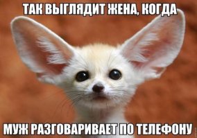 Небольшой лисопост