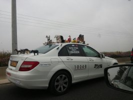 С-стиль или Волжаночка Головного Мозга