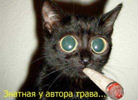 Философия "Пилы"