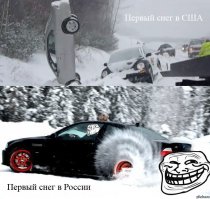 Так радуются снегу в Новосибирске! Медведь на сноуборде прокатился по центру города