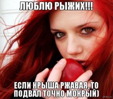 Что ирландцу хорошо, то русскому не понять