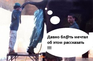 Все, о чем давно мечтает рассказать вам ваш ветеринар