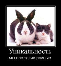 Смешной кролик в очках спровоцировал битву фотошоперов