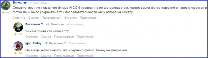 Смешные комментарии и высказывания из социальных сетей