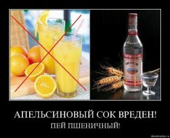 Как мы водку в США пили