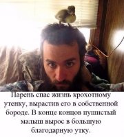 Одно доброе дело ценнее ста проповедей о добре!