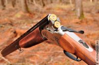 день не день, свет не свет . . .ВЕРТИКАЛКА