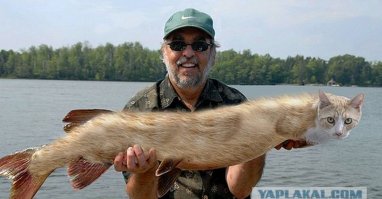 Традиционная ловля карпа в Чехии