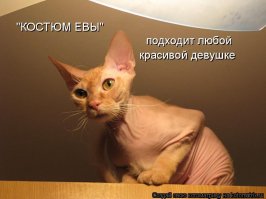 Самые популярные женские костюмы на Хеллоуин — их "гуглят" чаще всего