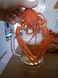 А а выходных с тестем ворот таких гигантов уминали ))))