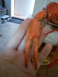 А а выходных с тестем ворот таких гигантов уминали ))))