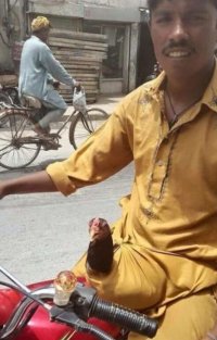 Эти фотографы сумели поймать самый удачный момент!