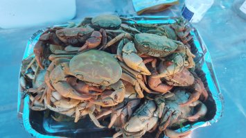 Пресноводный краб с пивком тоже супер.