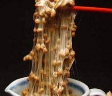 Ты их с Китайцами не путаешь? Самое страшное что смог вспомнить из Японской кухни это "Натто"(квашеные бобы),да и то говорят к запаху быстро привыкаешь,а на вкус они гораздо лучше чем это выглядит