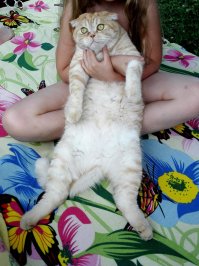 Наш малыш Ватсон. 8.5 кг флегматичности и лени)