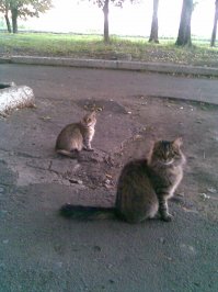 Мой Басяня).