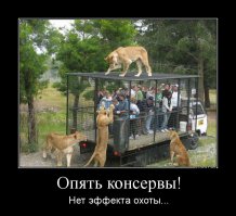 Пост про собачье питание