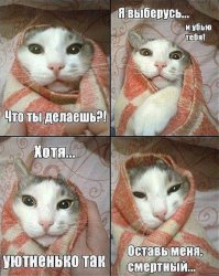 Кототетрис