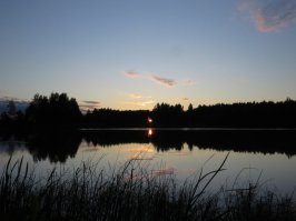 Фонограммы.