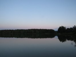 Фонограммы.