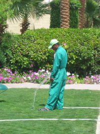 добавлю немного