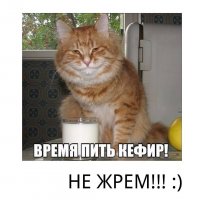 Интересные факты о кефире