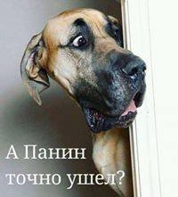 За гранью приличия - Алексей Панин и секс с собакой. Эпатаж или образ жизни?