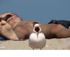 Эти фотографы сумели поймать самый удачный момент!