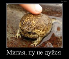 10 самых экзотических животных, которые могут жить у вас дома