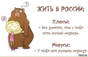 Русские медведи 