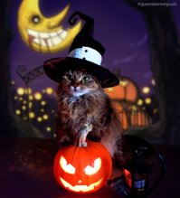 Можно и без сисек закосплеить няшно!))