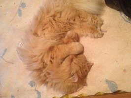 мой "малютка")) 17,5 лет прожил)