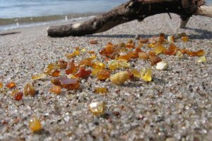 Янтарный, (бывший Пальмникен, нем. Palmnicken) - это небольшой уютный поселок городского типа на Северо-западе Калининградской области.Янтарный сегодня - это один из самых благоустроенных и красивых населенных пунктов области. Чистые зеленые улицы, уютные жилые домики, респектабельные гостиницы, широкий песчаный пляж, прохладный старинный парк и, конечно же, янтарь! \  единственный в мире янтарный комбинат, добывающий и перерабатывающий янтарь. На комбинате есть уникальный музей.