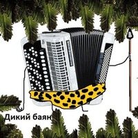 Ужасно дикий баян